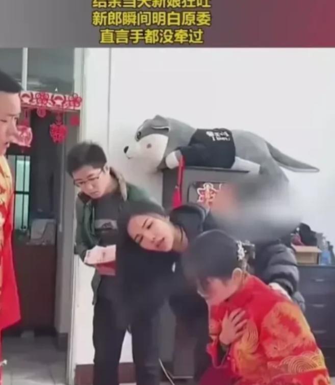 “太过分了！”2月，一男子结婚当天，突然新娘一直恶心呕吐，男子瞬间怒了：手都没牵