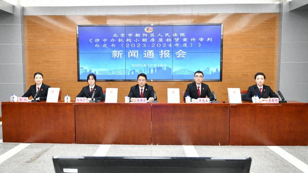 通过中介租房如何避坑？朝阳法院发布涉中介机构小额房屋租赁案件审判白皮书
