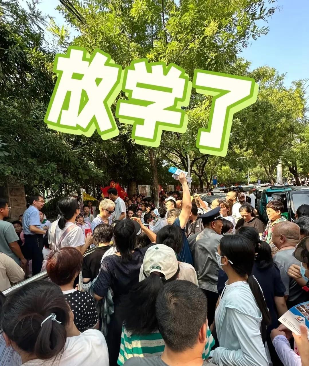 天大地大，不如接送孩子上学放学大！现代人都怎么啦？
这几天网络上对接送孩子上学问