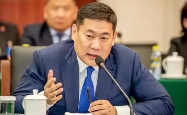 蒙古总理奥云额尔登被国会解职，明面上的原因，是奥云的儿子的女友，在网络上炫富，结