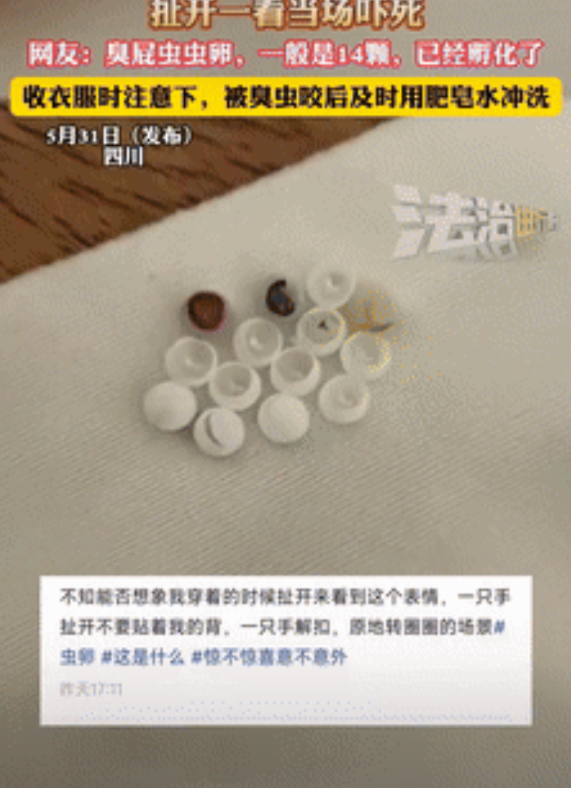 “简直防不胜防！”四川一女子穿内衣时感到后背不舒服，就扯掉来看，不料，女子看到内