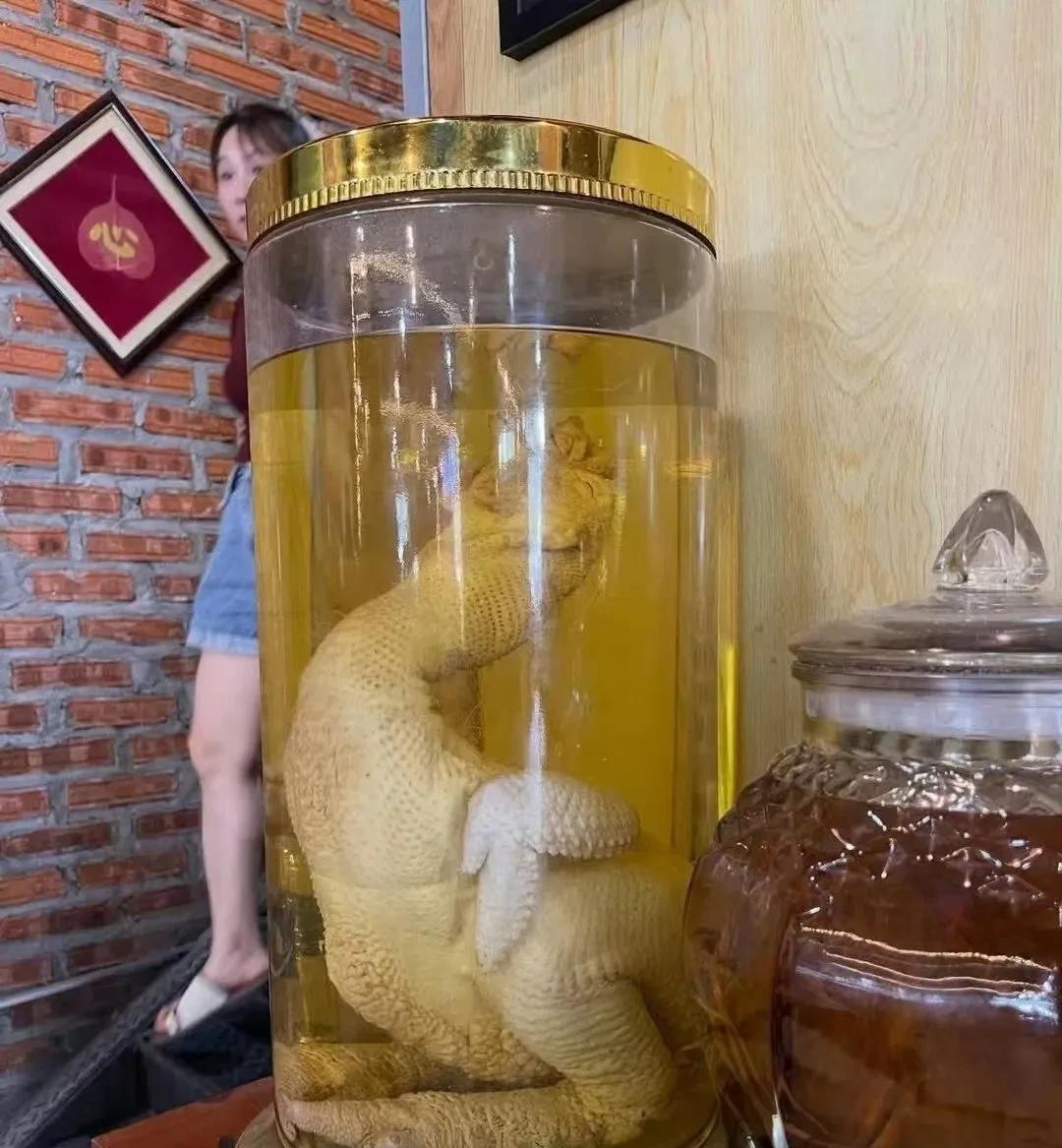 越南无奇不有，你知道这叫什么酒吗？
有人说叫“鸡尾酒”，有人说叫“鸡酒”。其实这