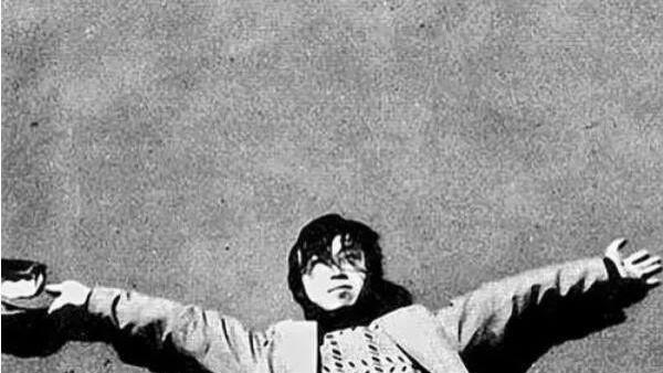 评海子诗歌《夏天的太阳》