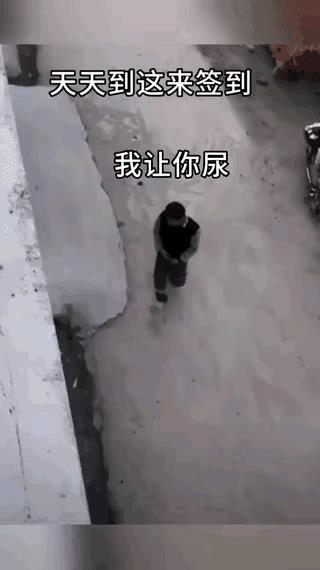 如果有人在你家楼下墙角处撒尿你怎么办？
    博主遇到有个人，总是动不动就到他