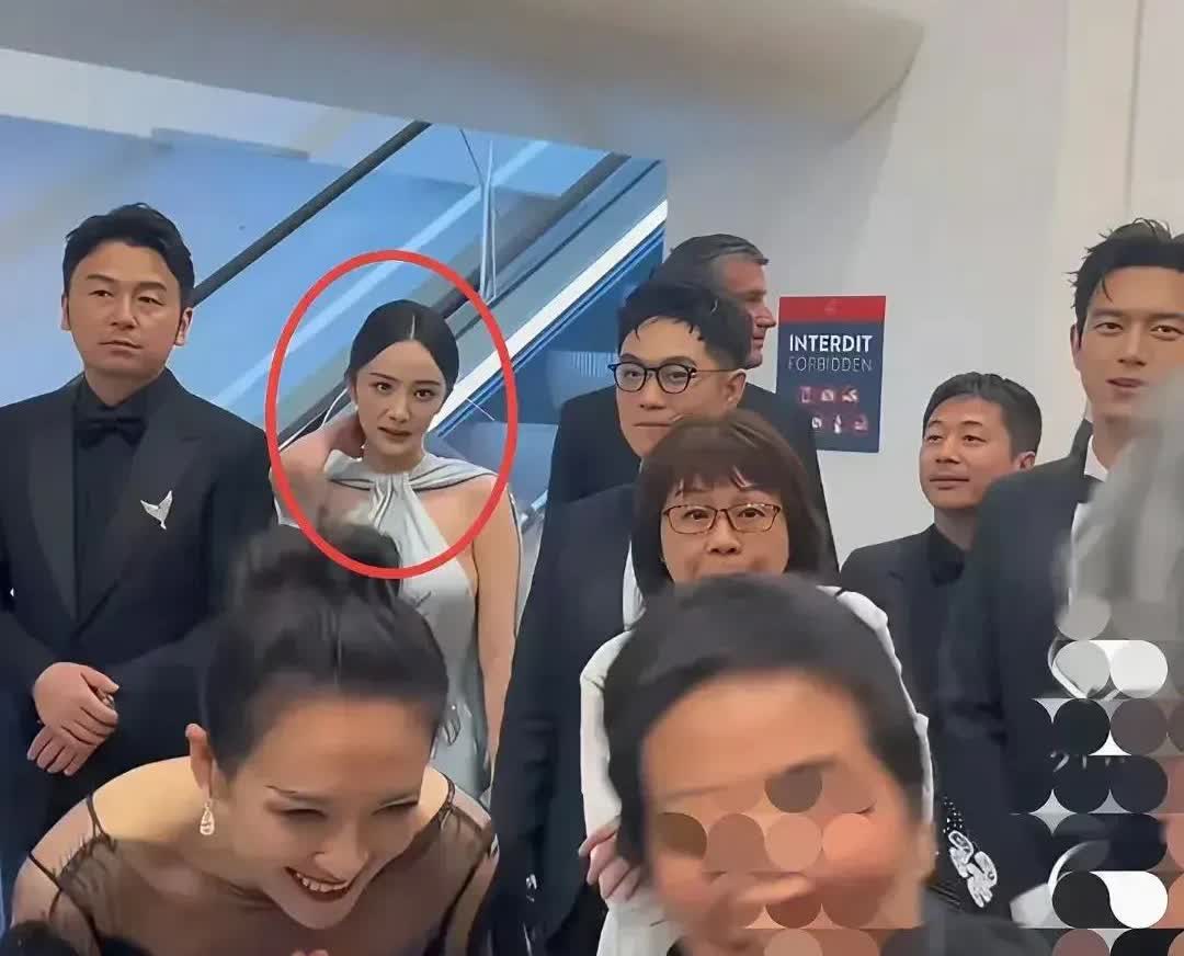 有点理解章子怡了
为什么能这么火，不是没道理的
提到《酱园弄》发布会，章子怡