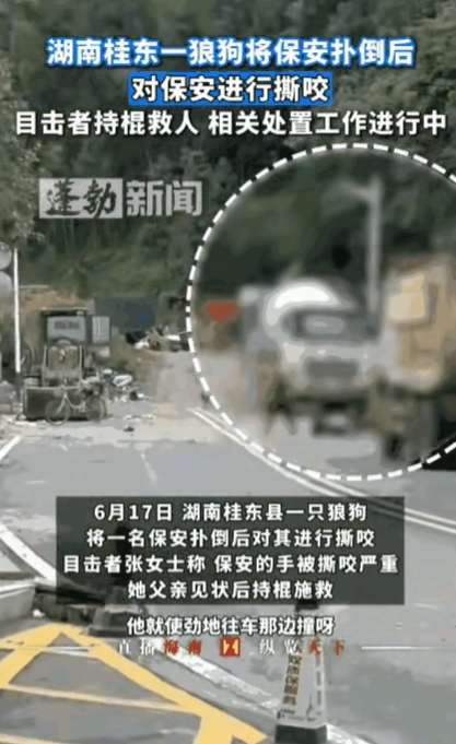 “当场击毙！”湖南，男子出去倒垃圾时，突然冲出一条大狗，将他扑倒在地撕咬，男子虽
