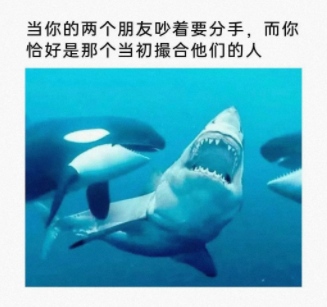 坏人终归是我啊