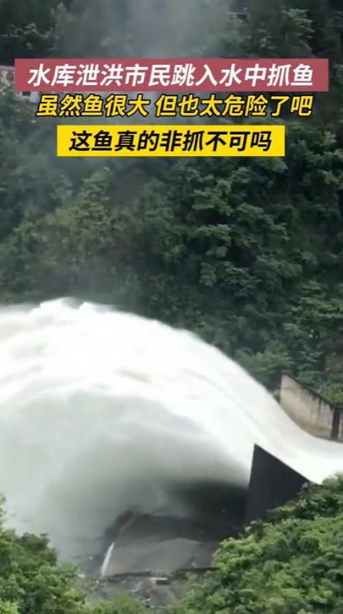“防不胜防！”6月27日，重庆，一水库泄洪，一男子不顾自己的安全，直接跳入水中抓
