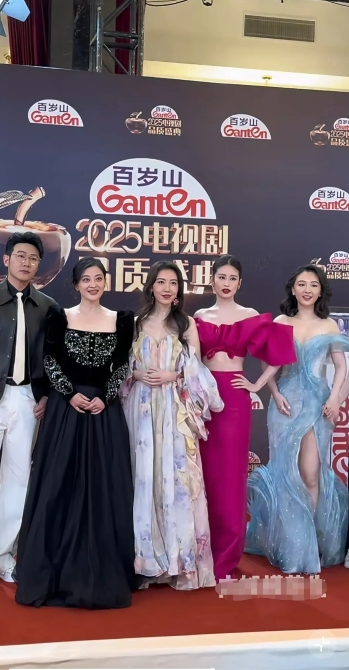 真是服了，没一个好看的裙子，就梅婷的还凑付。