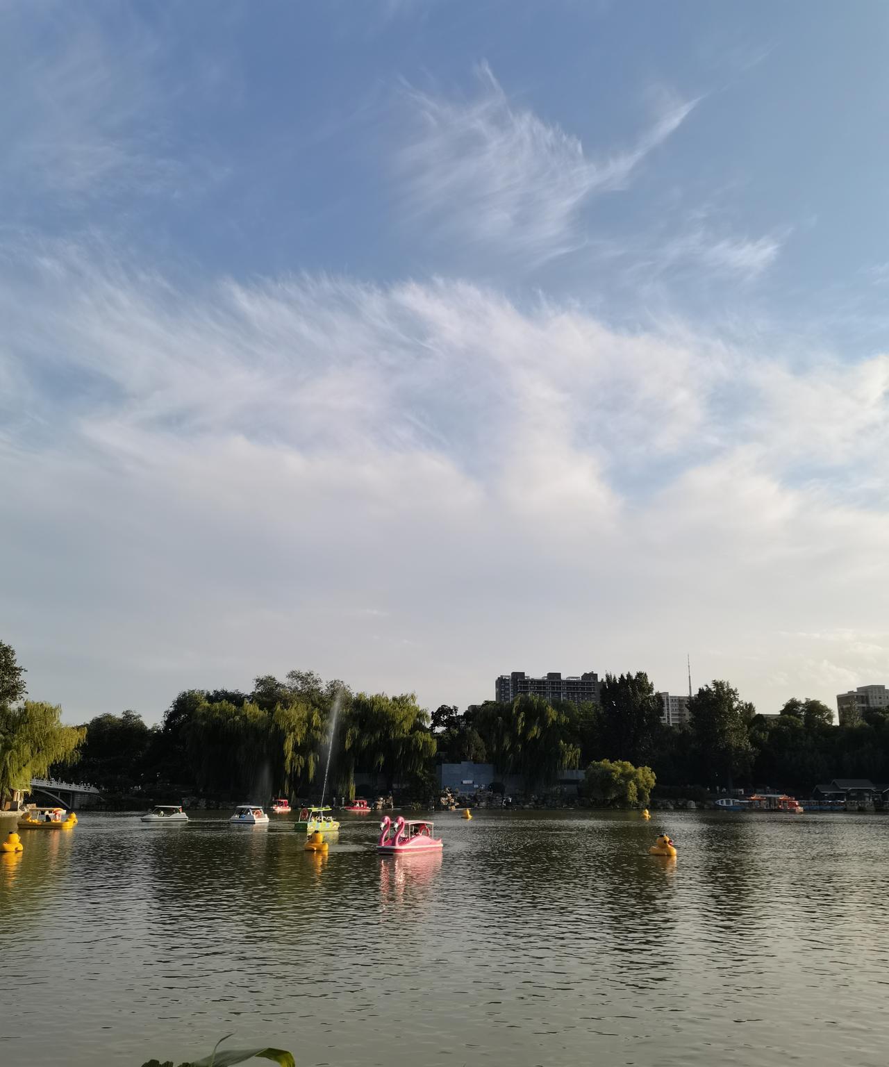 #旅行随手拍#
初秋的北京
初秋的紫竹苑公园