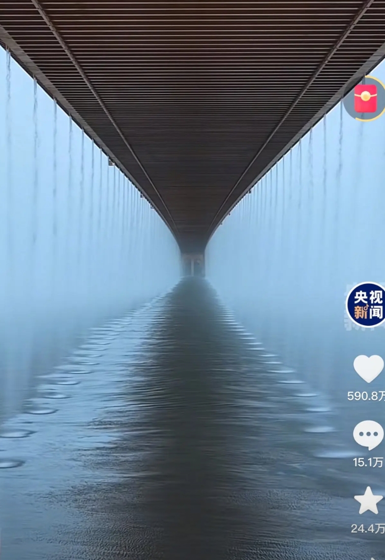 估计央视新闻自己也没想到，自己发的一条某音短视频，本来是想跟网友分享大雨中“武汉