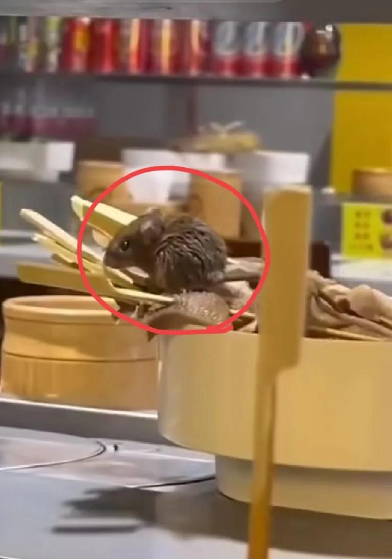 我闺蜜自从去饭馆打工，就像变了个人一样！我简直不敢相信！
以前动不动就喊我去饭馆