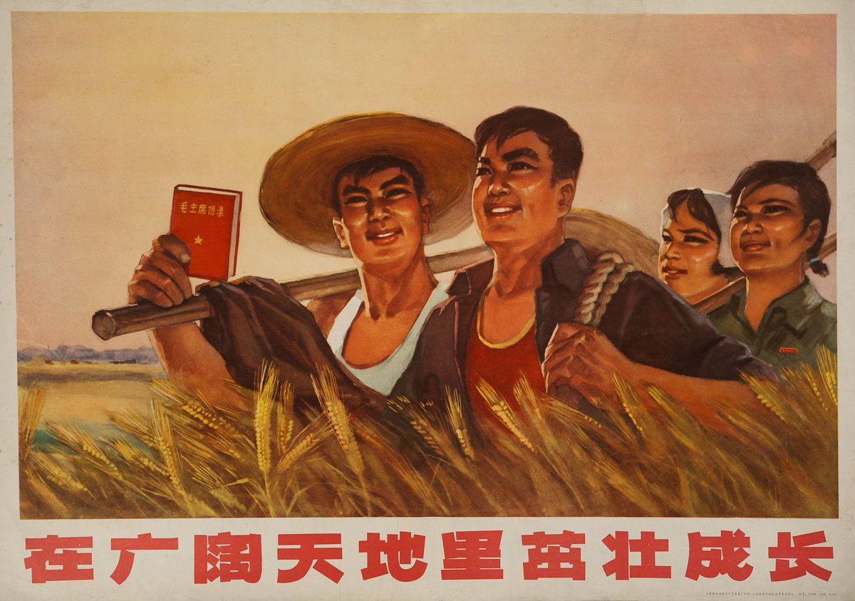 老版宣传画：在广阔天地里茁壮成长(1970年)