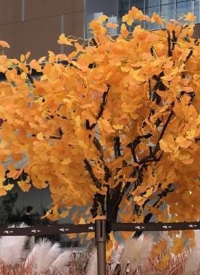 今年邻居大嫂家有一个与以往不同的非常特殊的情况，中秋节没聚餐，孩子们在各自家过节