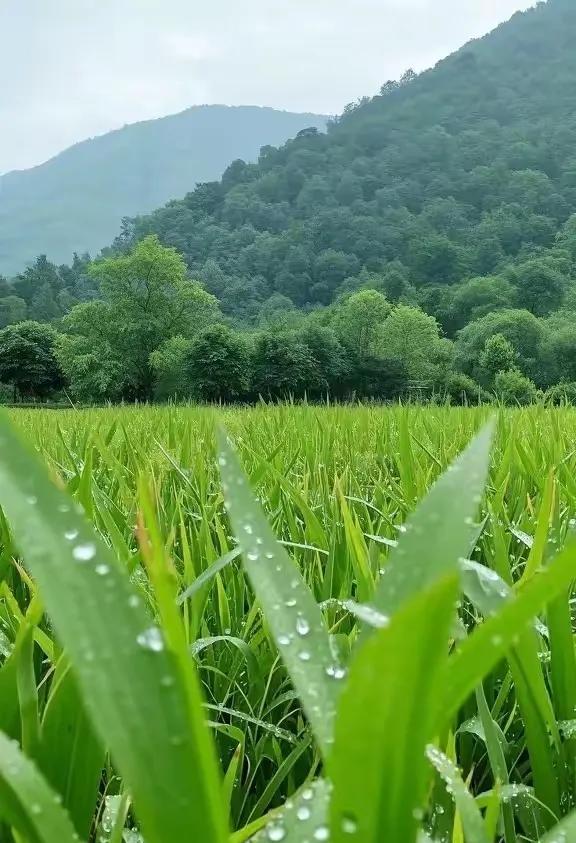 《百年孤独》：“生命从来不曾离开过孤独而独立存在。无论是我们出生、我们成长、我们