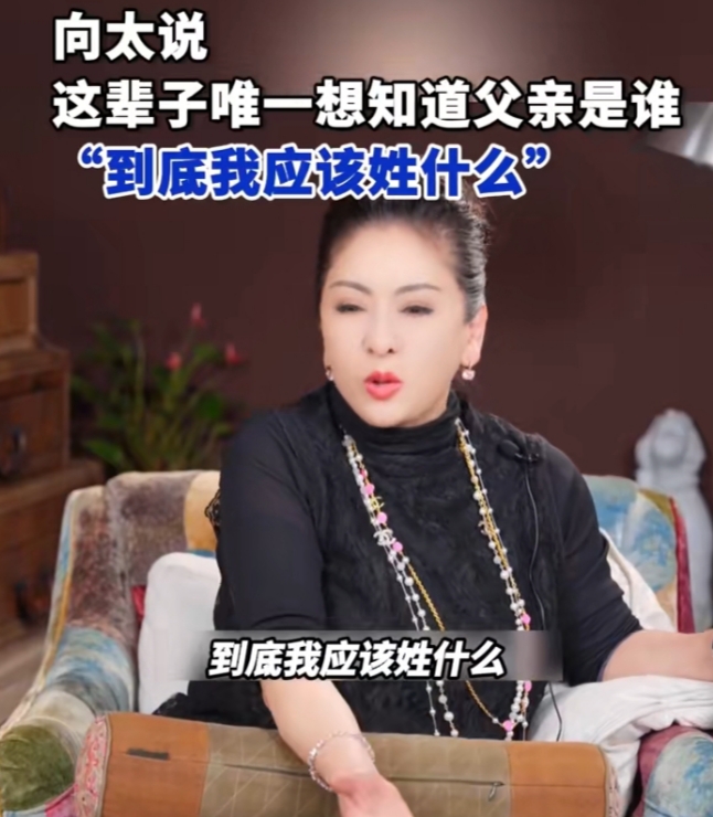 向太陈岚公开自己人生最大的遗憾！原来再强大的女人，心里都住着一个渴望父爱的小女孩