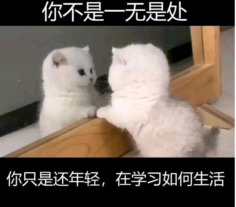 你不是一无是处