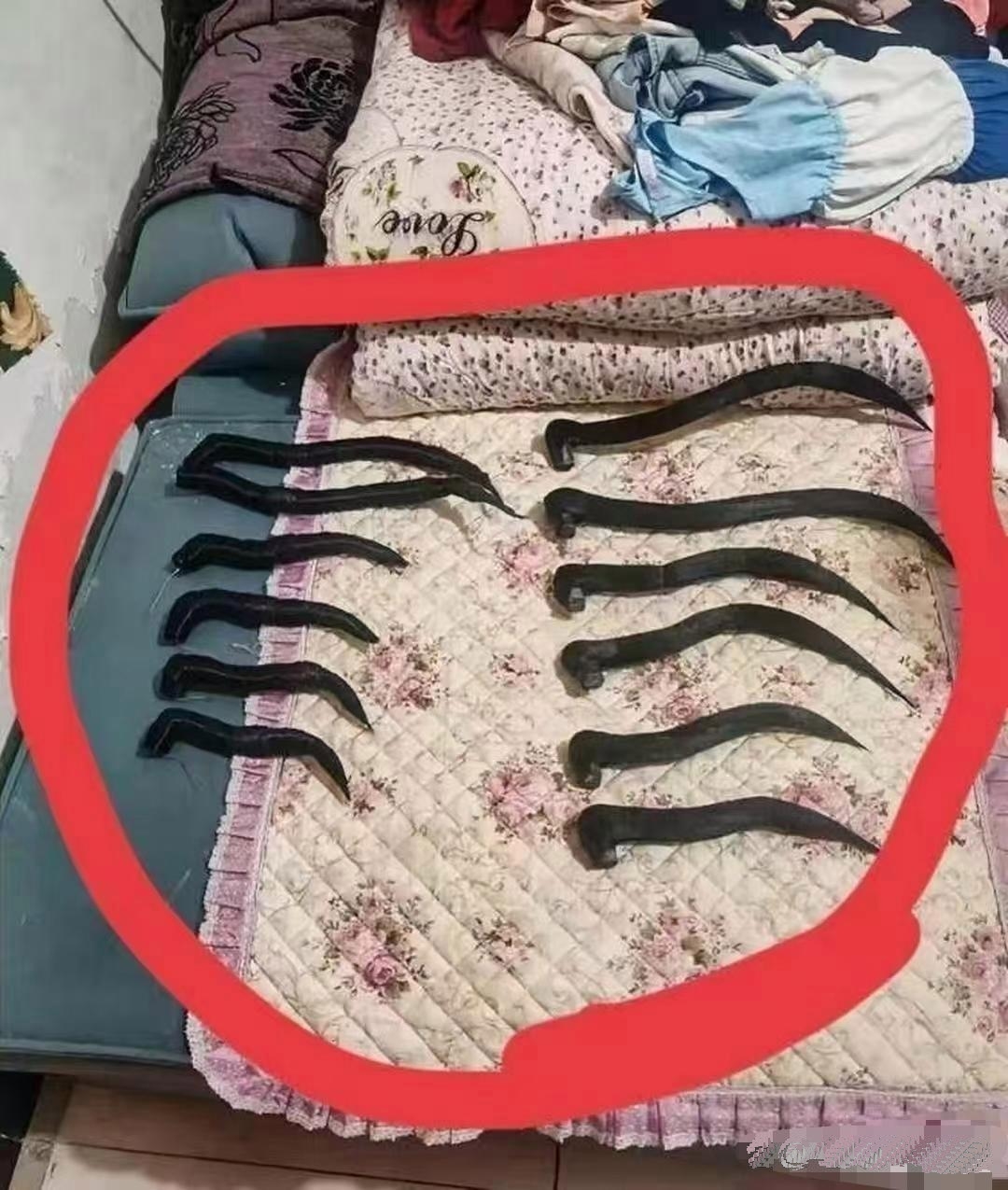 一位母亲在为女儿打扫房间的时候，拉开抽屉清理其中物品时，发现一堆奇怪的东西，一开