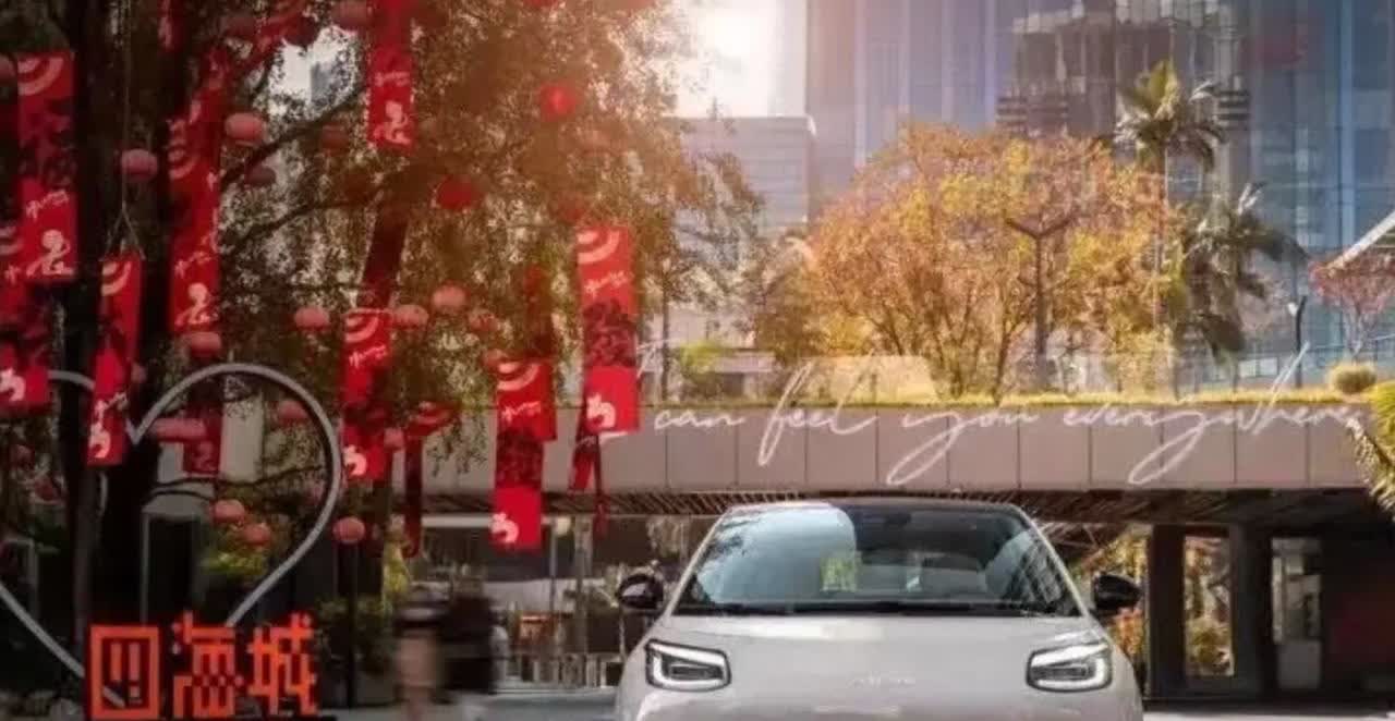 专家预测：未来中国国产汽车只剩下6家：

1、比亚迪汽车
2、小米汽车
