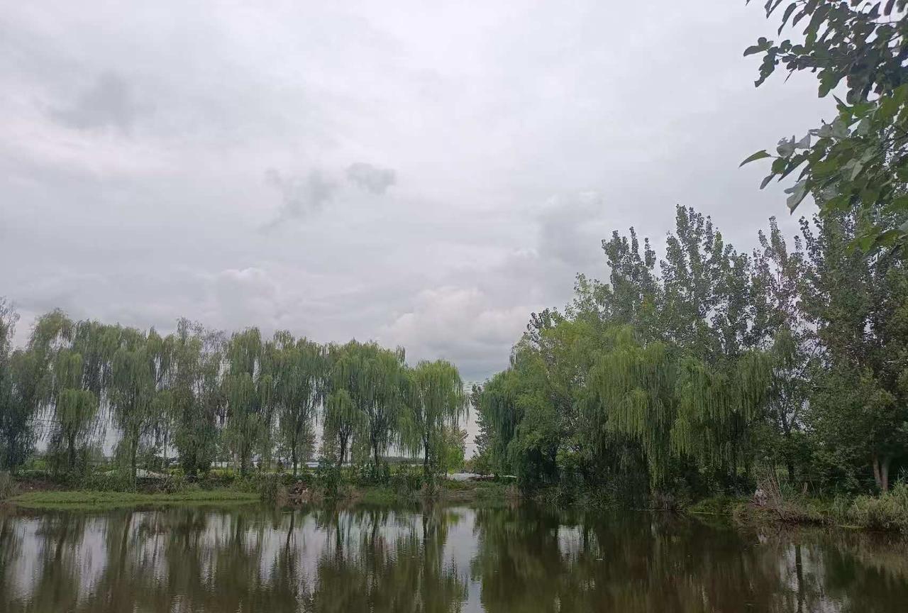 教培人的周末，简直就是黑色的周末啊，比平时还要忙好几倍！以前盼望周末，现在怕周末