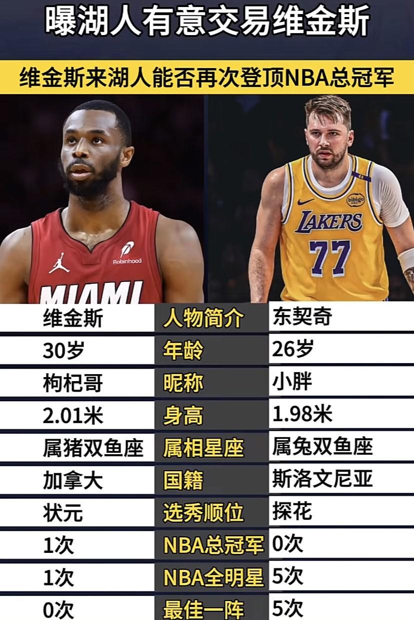 维金斯VS东契奇