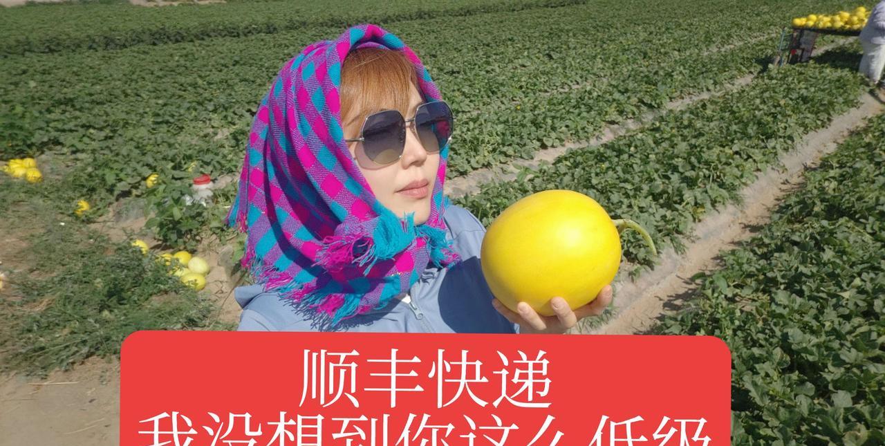 顺丰快递，我没想到你这么低级，你真行！相信看我文章的应该有很多，也是做电商，做网