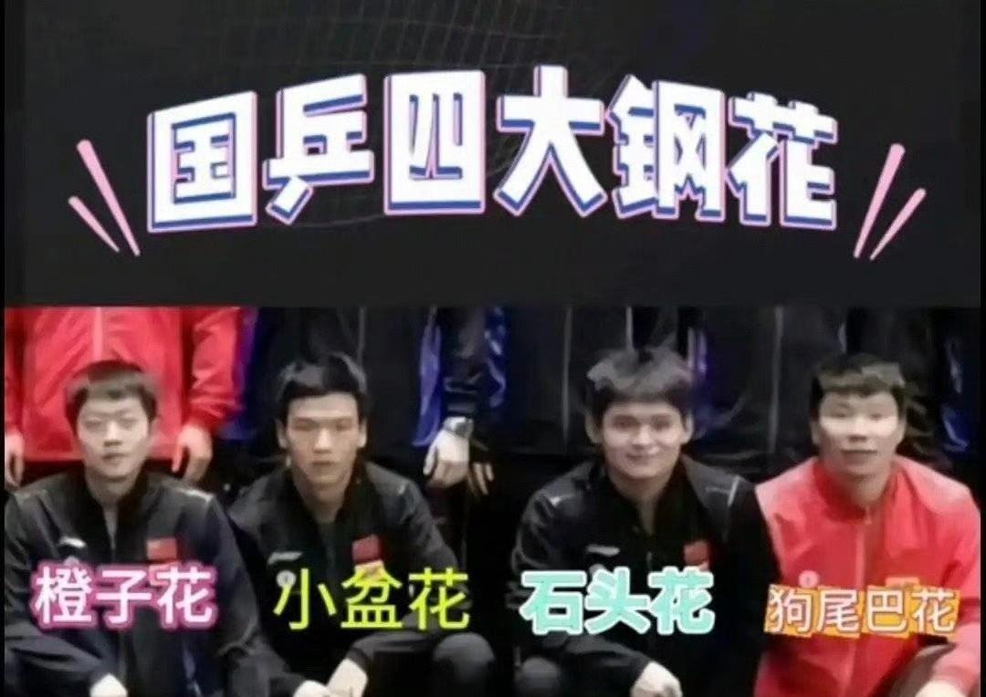 多久没见到这么震撼人心的场面了！
林诗栋、向鹏、袁励岑、徐瑛彬国乒四大钢花竟然齐