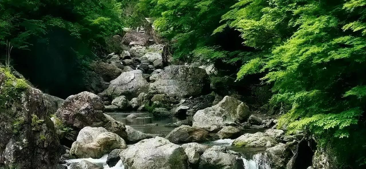 《老张周末钻山沟，我才发现他心里藏着另一片天》。
老张家男人刚过45岁，最近每到