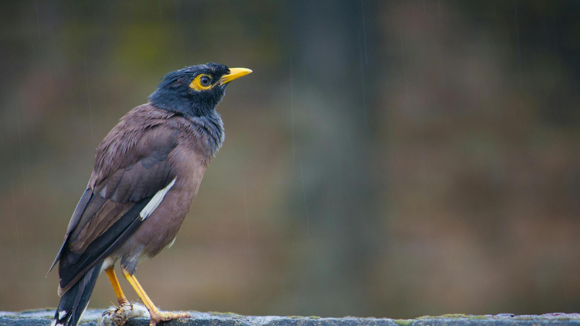 安遇情感咨询效果：教你3招修复破碎的感情，和前任重归于好