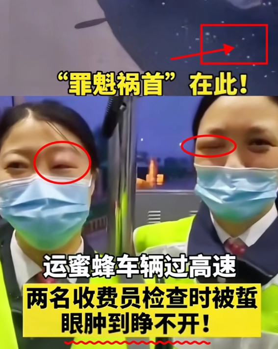 笑不活啦！ 
高速收费员要求蜂农卸下蜂箱接受检查，蜂农无奈表示蜂箱里有蜜蜂，实在