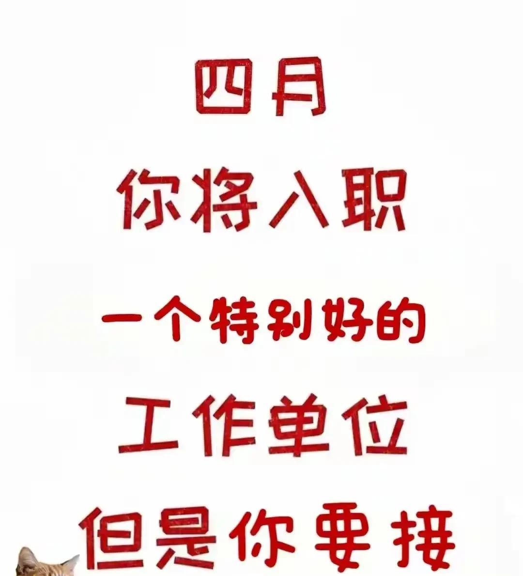 太惊喜了！
你一直心心念念想要调去的心仪岗位，机会真的来临了！
别犹豫，十秒内点