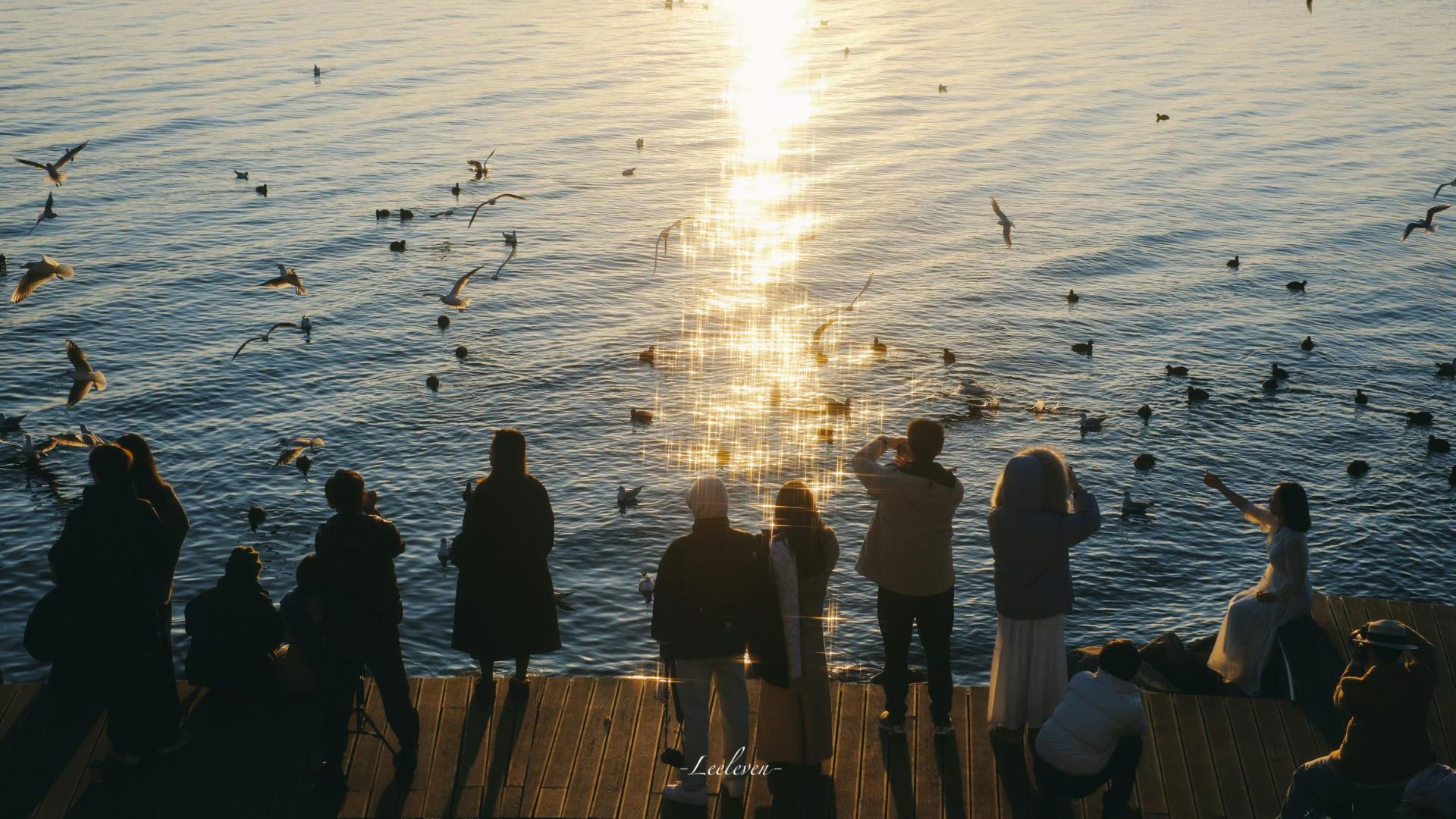 周运丨祁飞Moran 本周星象＋12星座运势（1.19—1.25）