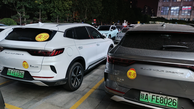 实习贴就是宋plus的标配
十辆最少五辆都是实习，包括我自己