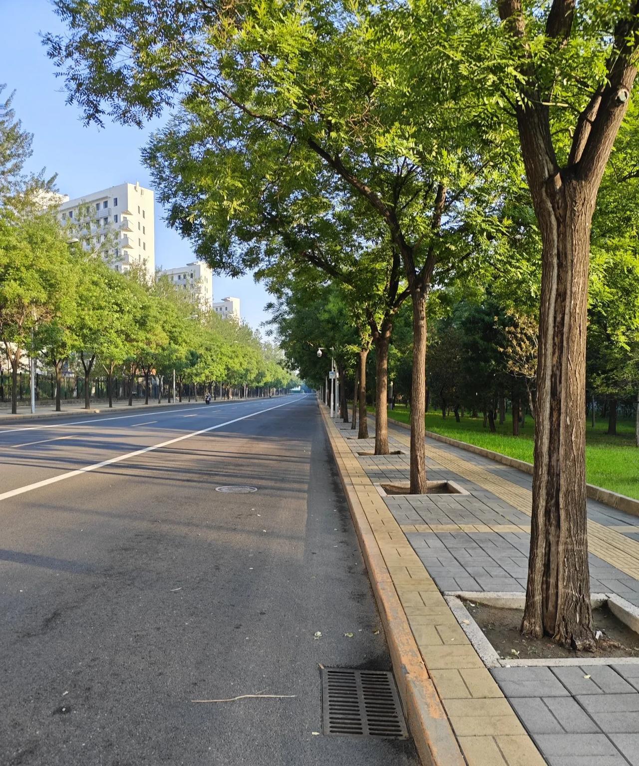 没有印度难道就不能发布联合声明了吗？
不出意外，印度拒绝在上合组织防长峰会上的联