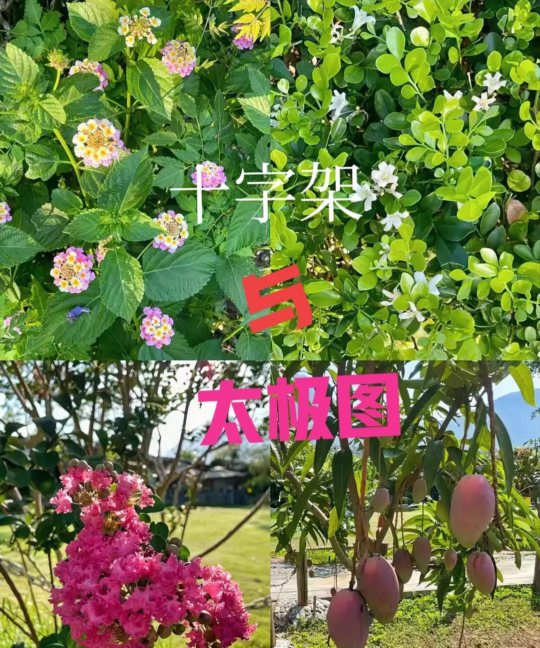 中西文化交流中"十字架"与"太极图"的千年纠缠
十字架与阴阳两极的永恒对话。在历