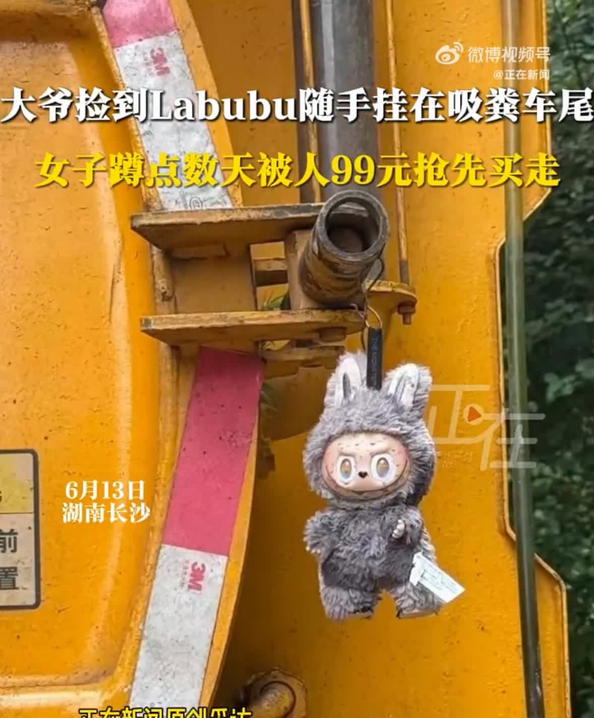 拉布布被挂粪车，大爷捡到隐藏款拉布布挂在粪车4天后被收藏女子99元买走疑似炒作。