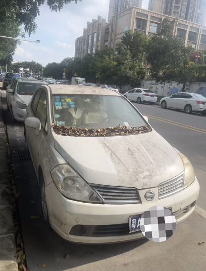 这种“僵尸车”都没人管的吗??