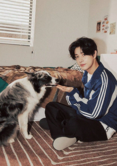 提问图中到底有几只小狗 ​​​