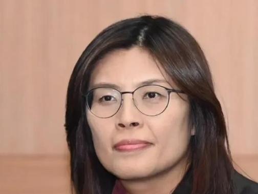 台湾国民党员都拒绝统一，何况台独的民进党？台湾省地方“立委”郑丽文发表言论，让大