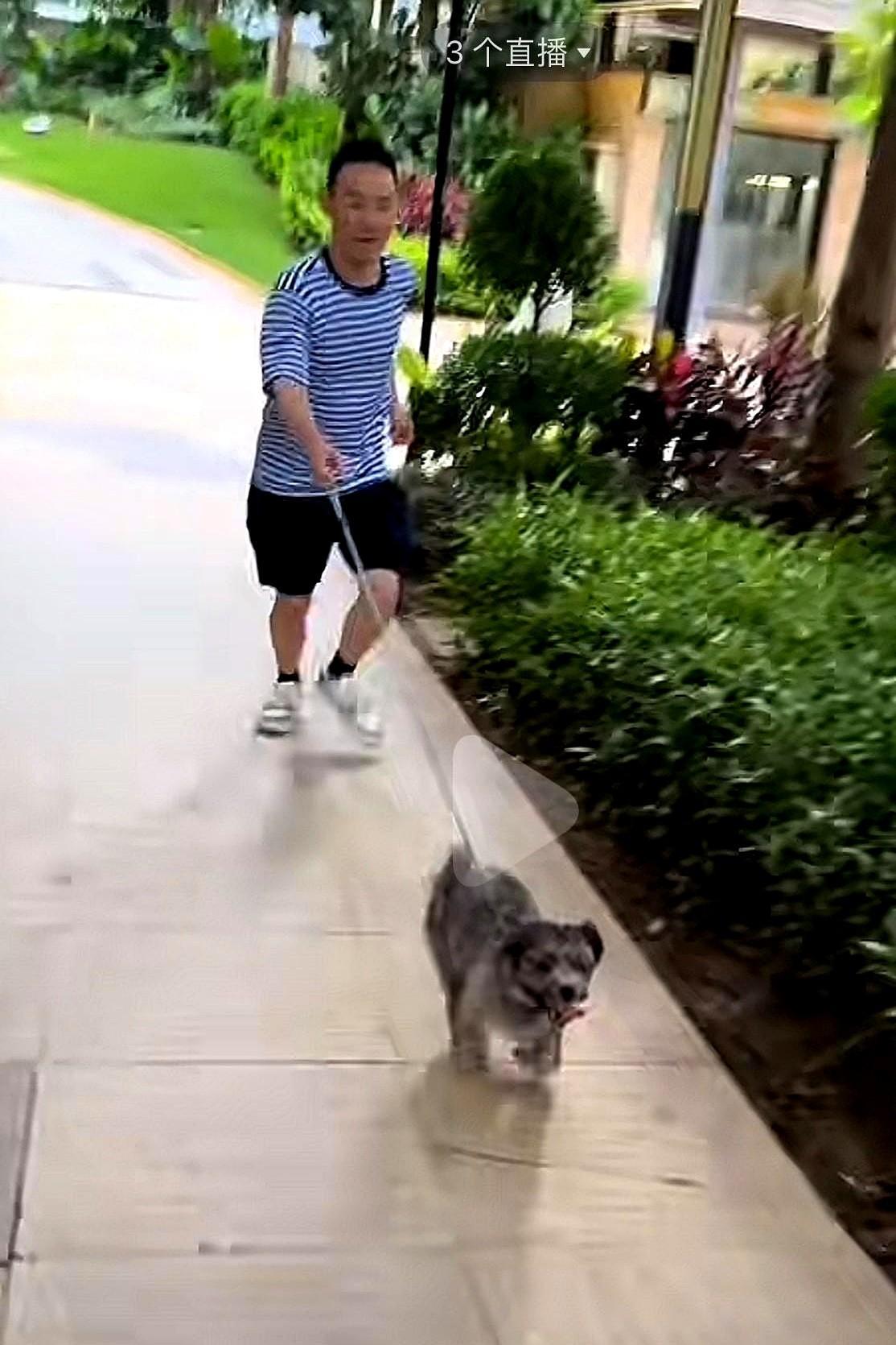 今天傍晚，谢浩男的大妹更新了视频。
视频中，谢浩男回深圳陪谢妈过端午节，谢浩男帮