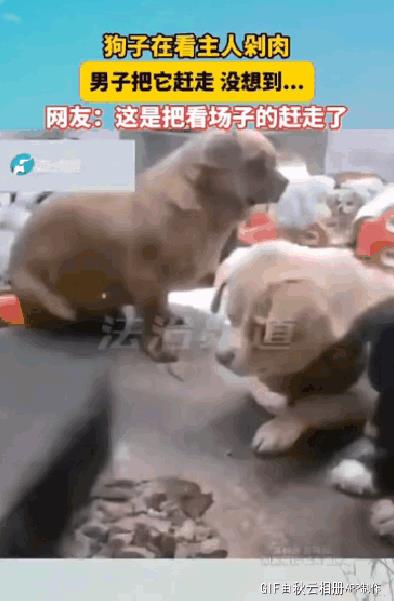 裁员裁到大动脉了