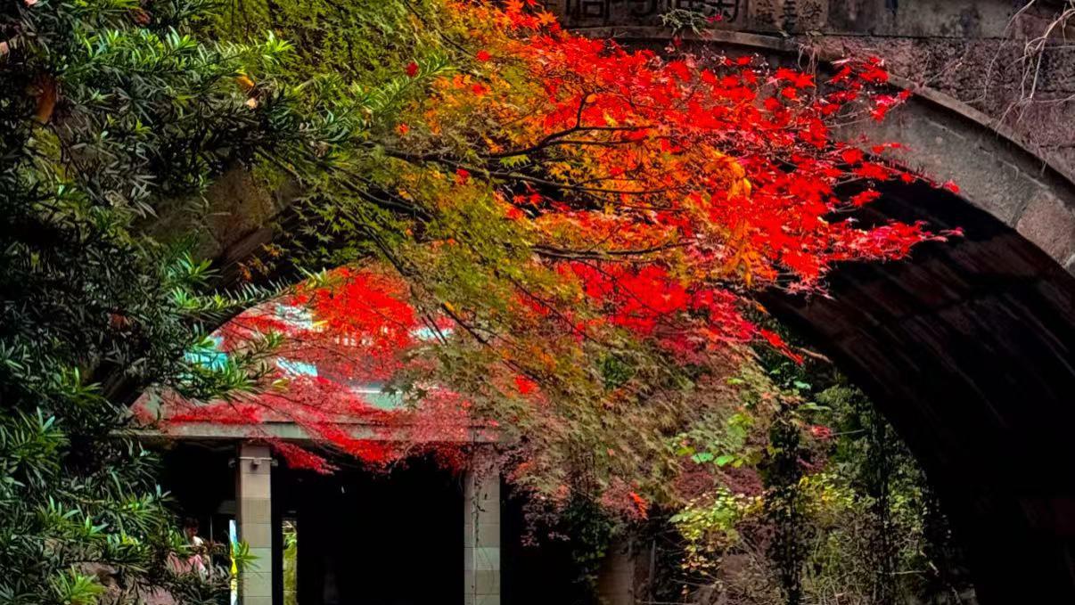 ‍杭州：穿越五千年的未来旅行