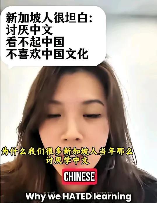 新加坡人直言为什么不喜欢中国文化，也不喜欢学汉语？
自从新加坡把英语作为官方语言