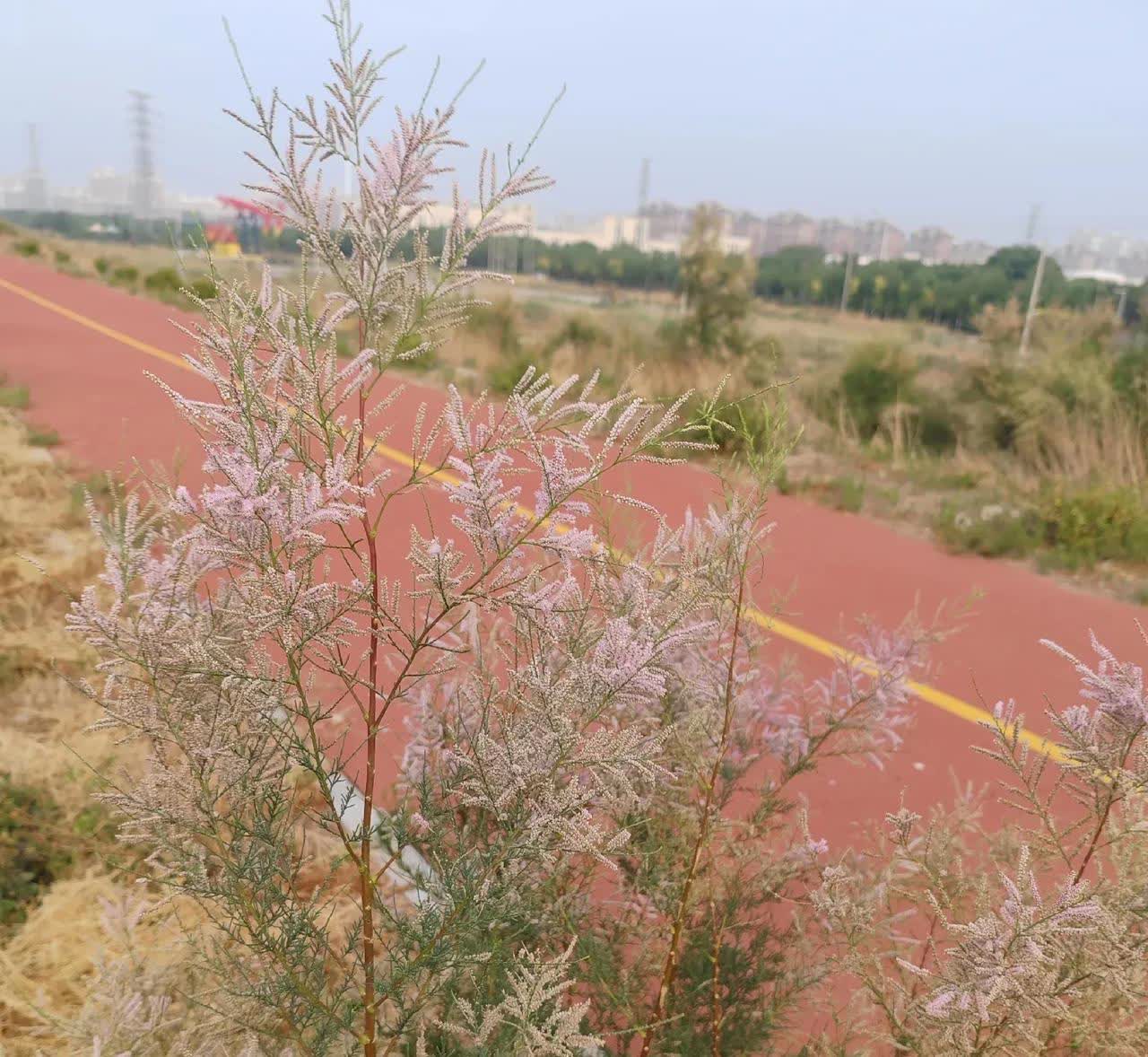 今天我对社会做出什么贡献了呢？
一、开车到距家所在小区一公里多点的超市，消费 
