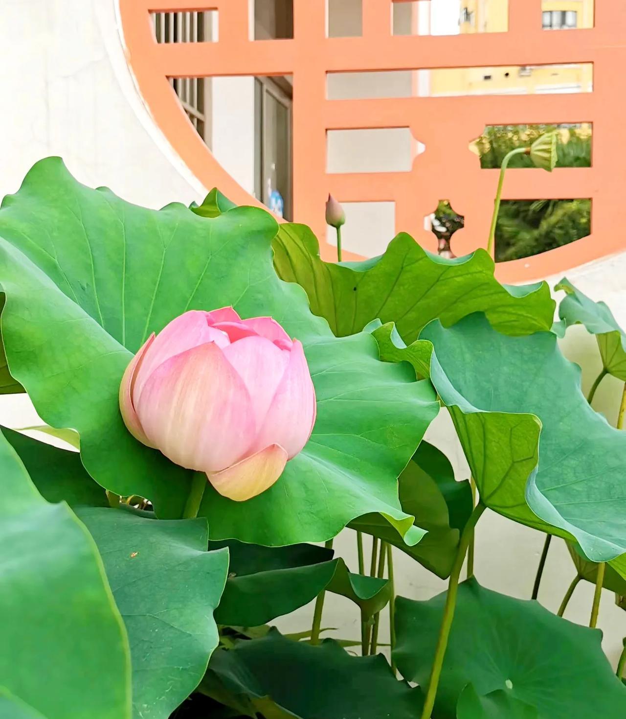 动嘴比动手容易，但是如果说话的人，不愿意承担自己说话的责任，那么就很少有人听他的