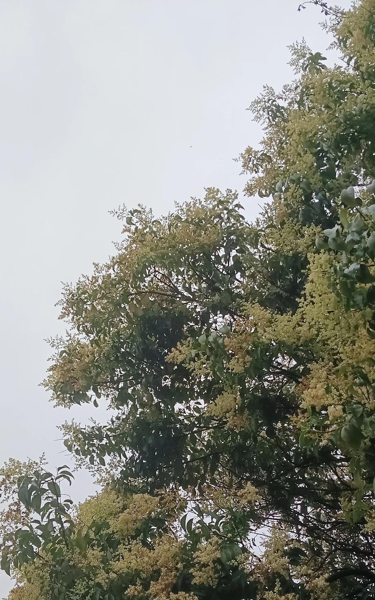 父亲的故事。父亲这人固执，受不了母亲的嘲弄，他拿起萝卜出气，把一个萝卜一掰为二。