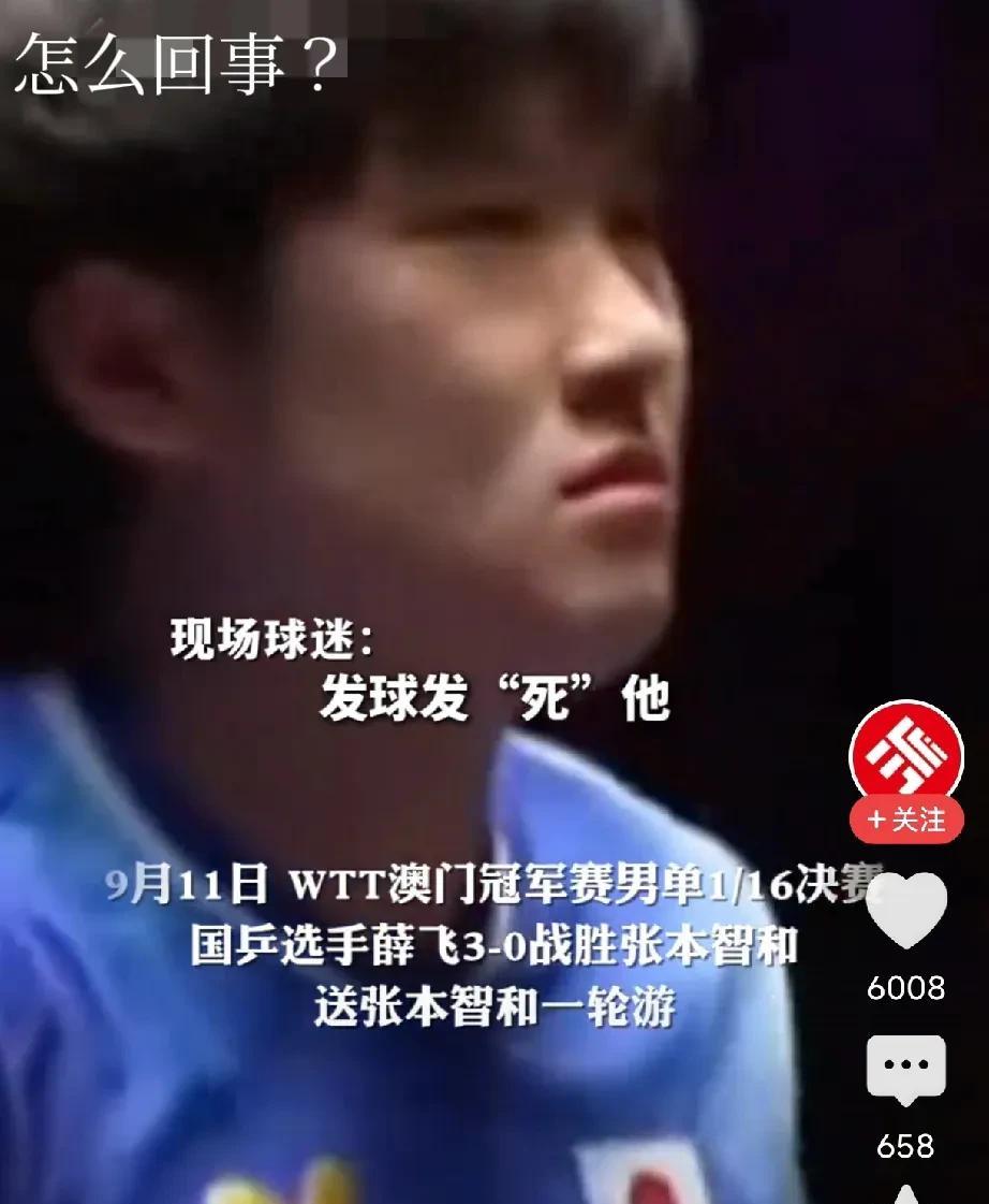 “怎么回事？”张本智和喊不出来，也叫不起来，从头到尾被薛飞打蔫了！WTT澳门冠军