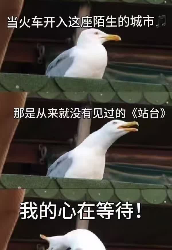 陈楚生，我的心在等待，永远在等待。
笑死😂。
自从网上有了楚生唱《站台》的