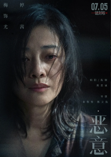 梅婷啊梅婷
求求你别演了  
不是因为你演技不好  
而是你演的让我颠覆了对你的