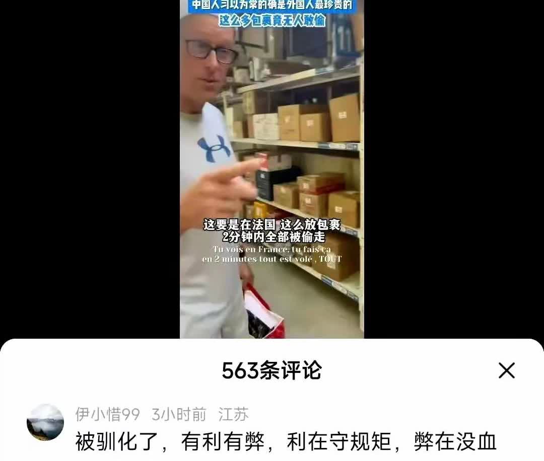 当你说“在中国快递放在架子上即使无人看管也不会丢失”时，殖人会说：

“中国